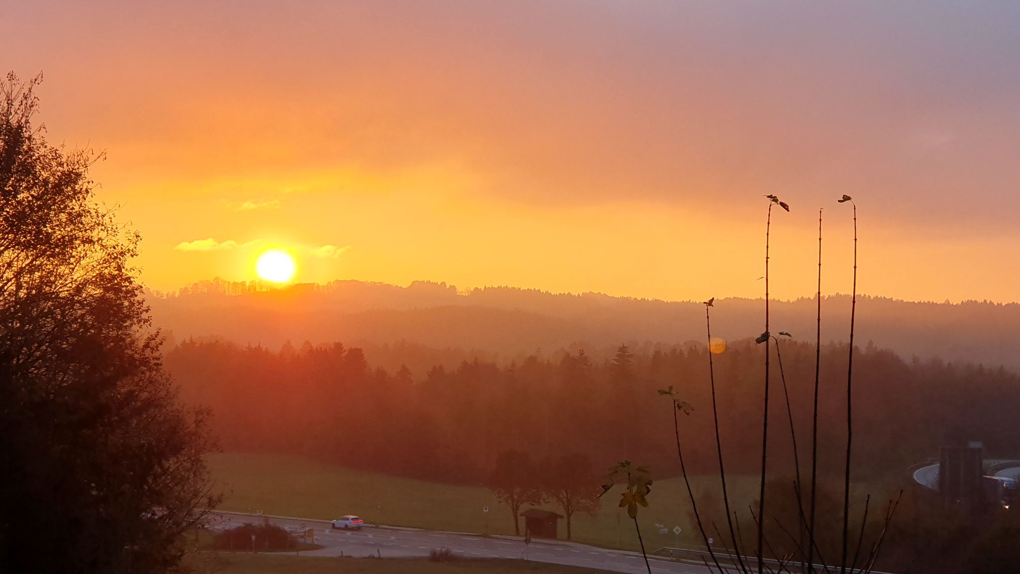 20241104 163345   Kopiert